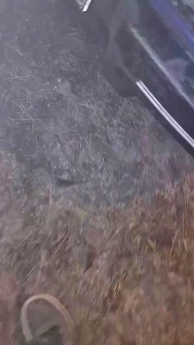 howeversnowy howeversnowy archive video