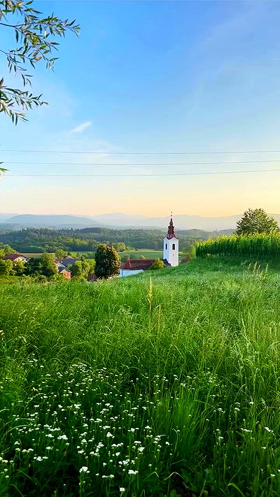 ellamwatts_ ellamwatts_ archive video