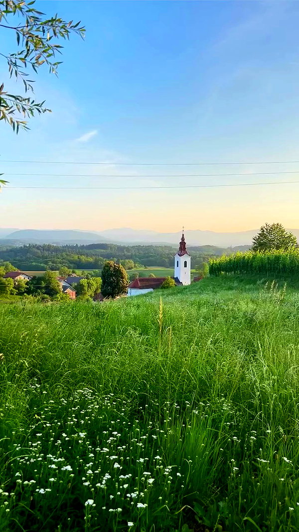 ellamwatts_ archive video preview