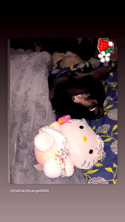 hellokittyangel666 hellokittyangel666 archive video