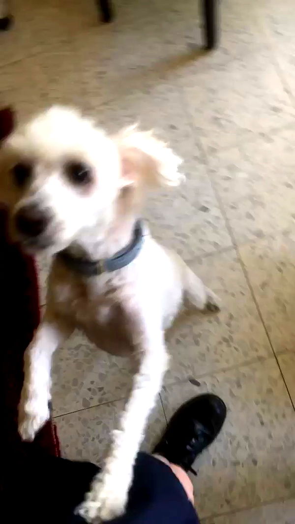 feelbetterinmysweater archive video preview