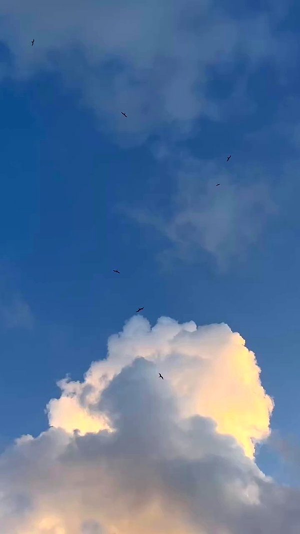 audreywbae archive video preview