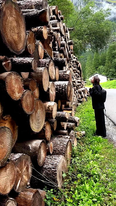 sophiemudd sophiemudd archive video