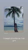 lior_lotati Altpins Profile Picture