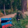 deejaysoda Altpins Profile Picture