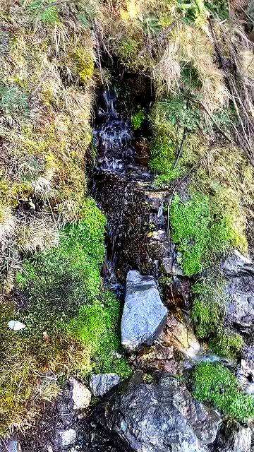 lilllush lilllush archive video