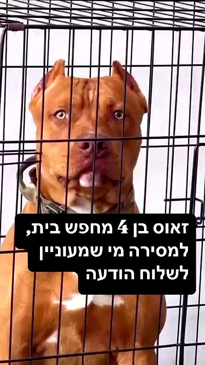 le_daniel18 le_daniel18 archive video