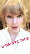 taylorswift Altpins Profile Picture