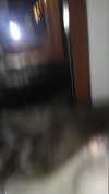 ellaailiff Altpins Profile Picture