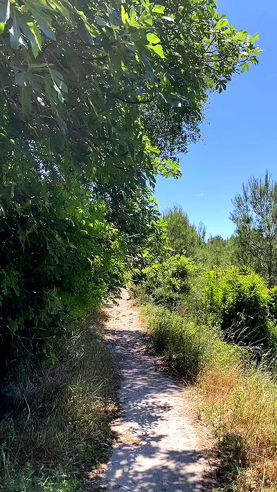 efrat_elmalich efrat_elmalich archive video