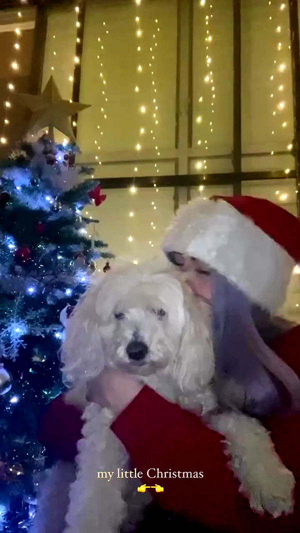 feelbetterinmysweater archive video preview