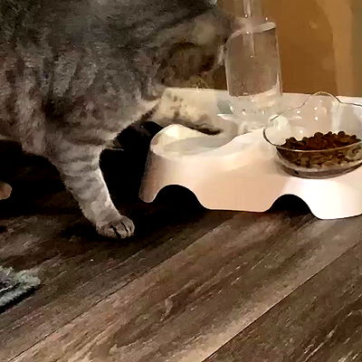 dakotabell05 dakotabell05 archive video