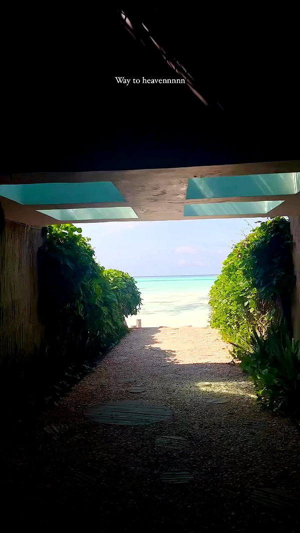 noa_mendel_ archive video preview