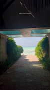 noa_mendel_ Altpins Profile Picture