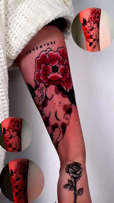 dustheadd dustheadd archive video