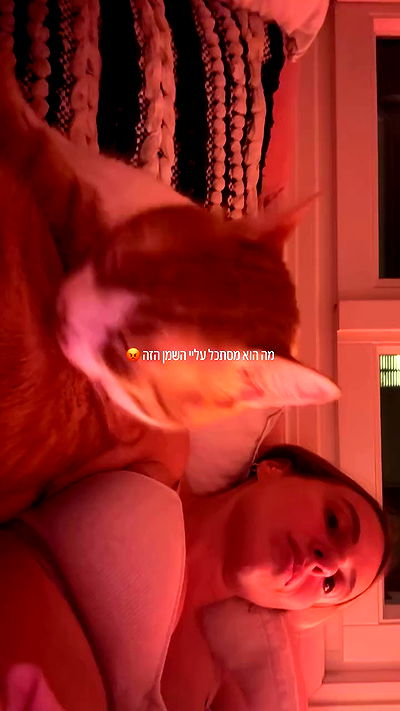 iambohema.v2 iambohema.v2 archive video