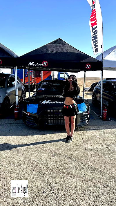 simp_for_cats_ simp_for_cats_ archive video