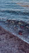 lital.oss Altpins Profile Picture