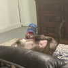 dakotabell05 Altpins Profile Picture