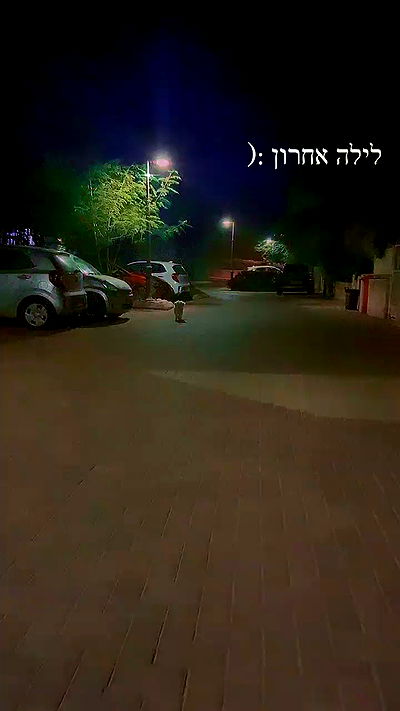 feelbetterinmysweater feelbetterinmysweater archive video