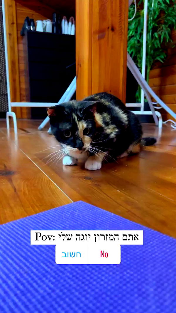 itsilanosh archive video preview