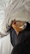 quitmell Altpins Profile Picture
