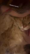 calyen Altpins Profile Picture