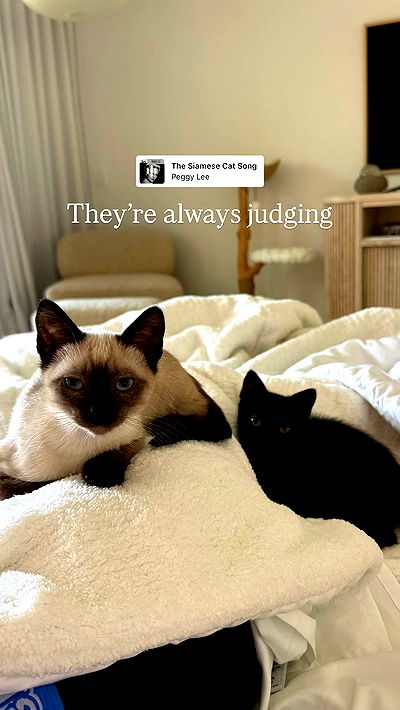 sophiemudd sophiemudd archive video