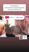 lavish_jess Altpins Profile Picture