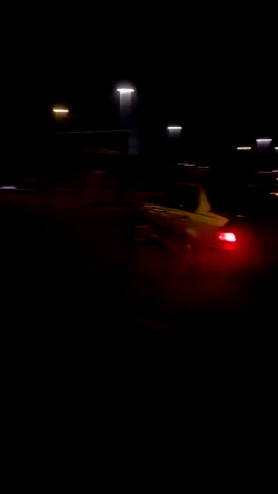 simp_for_cats_ simp_for_cats_ archive video