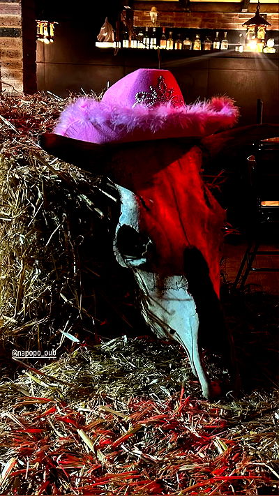 napopo_pub napopo_pub archive video