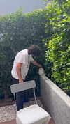 charleygrayyy Altpins Profile Picture