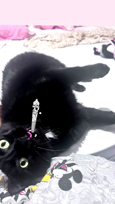 hellokittyangel666 hellokittyangel666 archive video