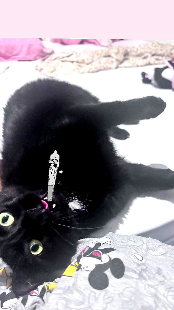 hellokittyangel666 archive video preview