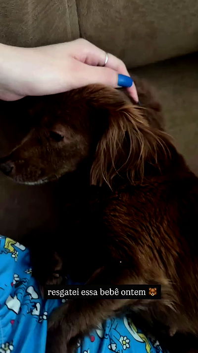 kaarolzx kaarolzx archive video