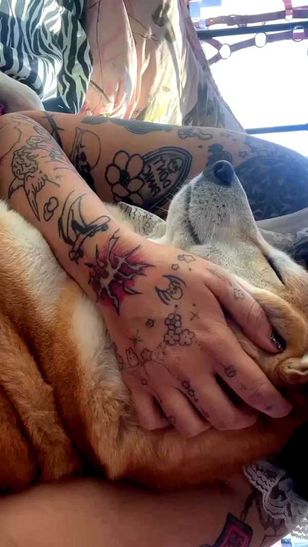 zommmbri archive video preview