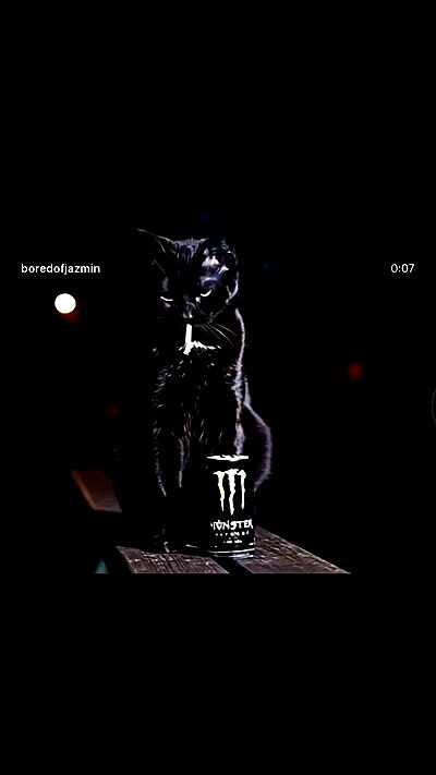 dustheadd dustheadd archive video