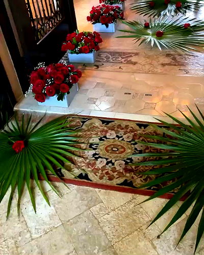 iamcardib iamcardib archive video