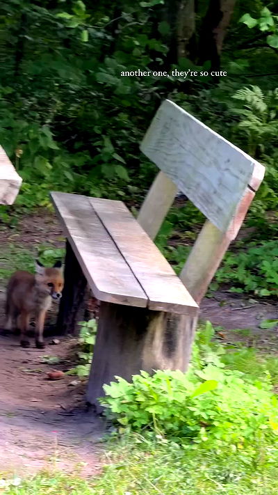 carolinezalog carolinezalog archive video