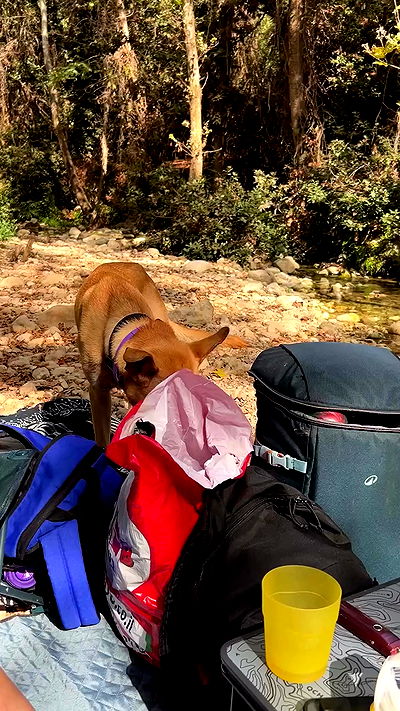 feelbetterinmysweater feelbetterinmysweater archive video