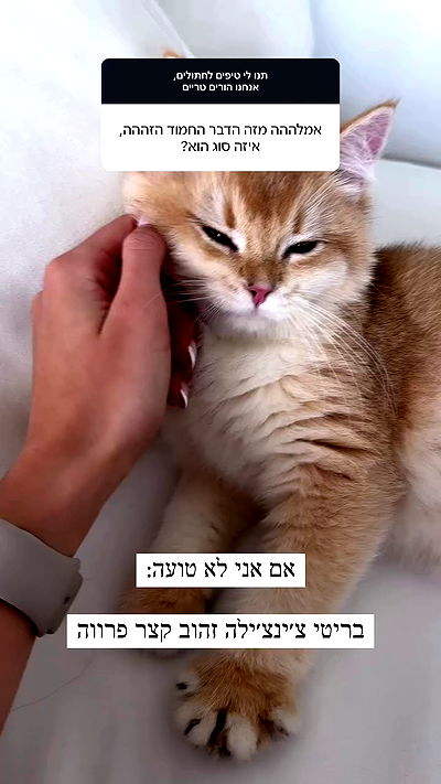 itsilanosh itsilanosh archive video