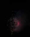 esmenguyennn Altpins Profile Picture