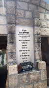 mayedri1 Altpins Profile Picture