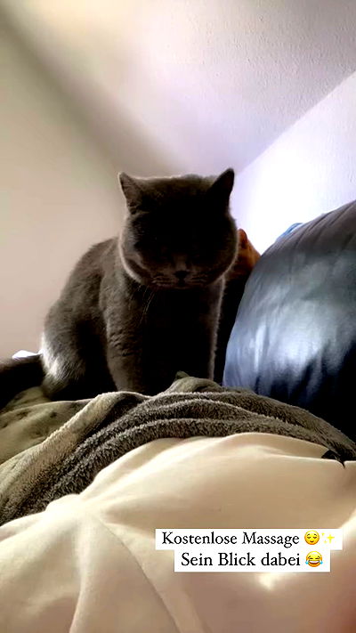 yoo.mon yoo.mon archive video