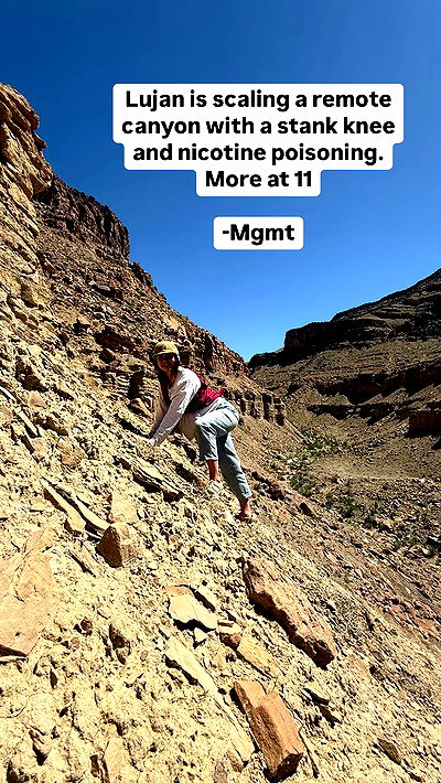 haylujan haylujan archive video