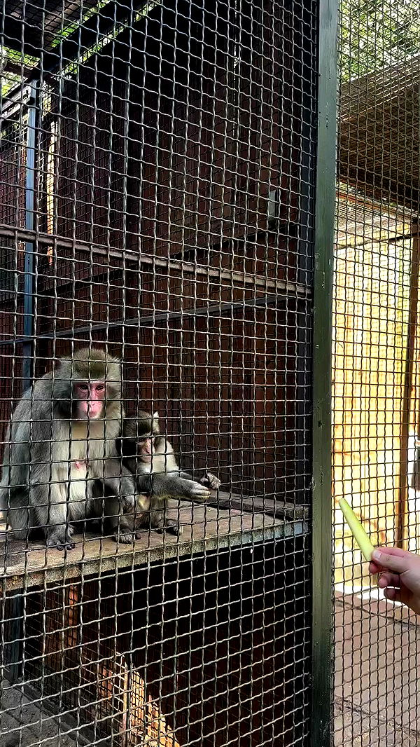 michelleloven_ archive video preview