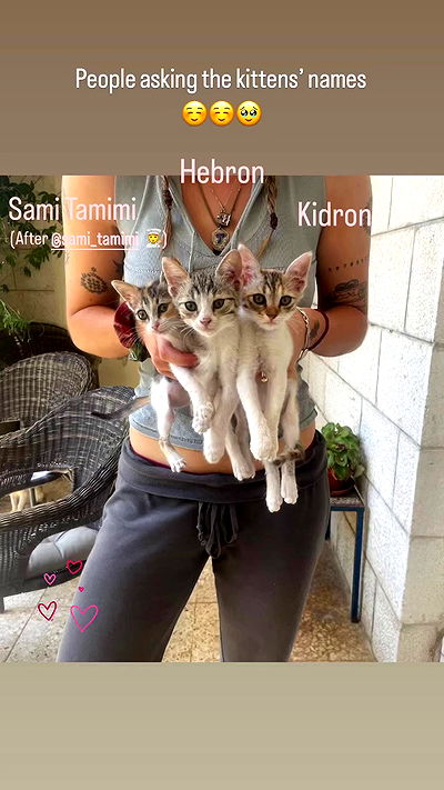 _femalien _femalien archive video