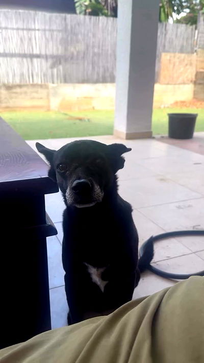 moonliliaght moonliliaght archive video