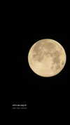 hadas_mayer_ Altpins Profile Picture