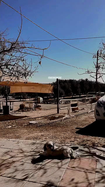 hannahgrin___08 archive video preview